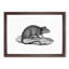 Rat Illustration - Framed Print-55616464-55616467