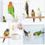 136cm Iron Play Top Floor Bird Cage with Wheels