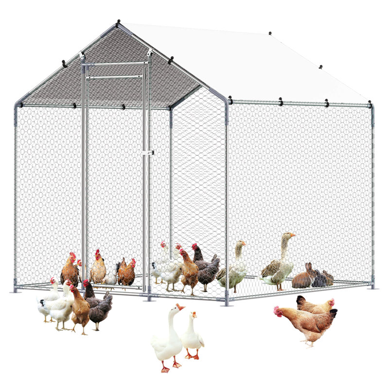 Poulailler métallique de 2 m x 2 m x 2 m avec toit en flèche.