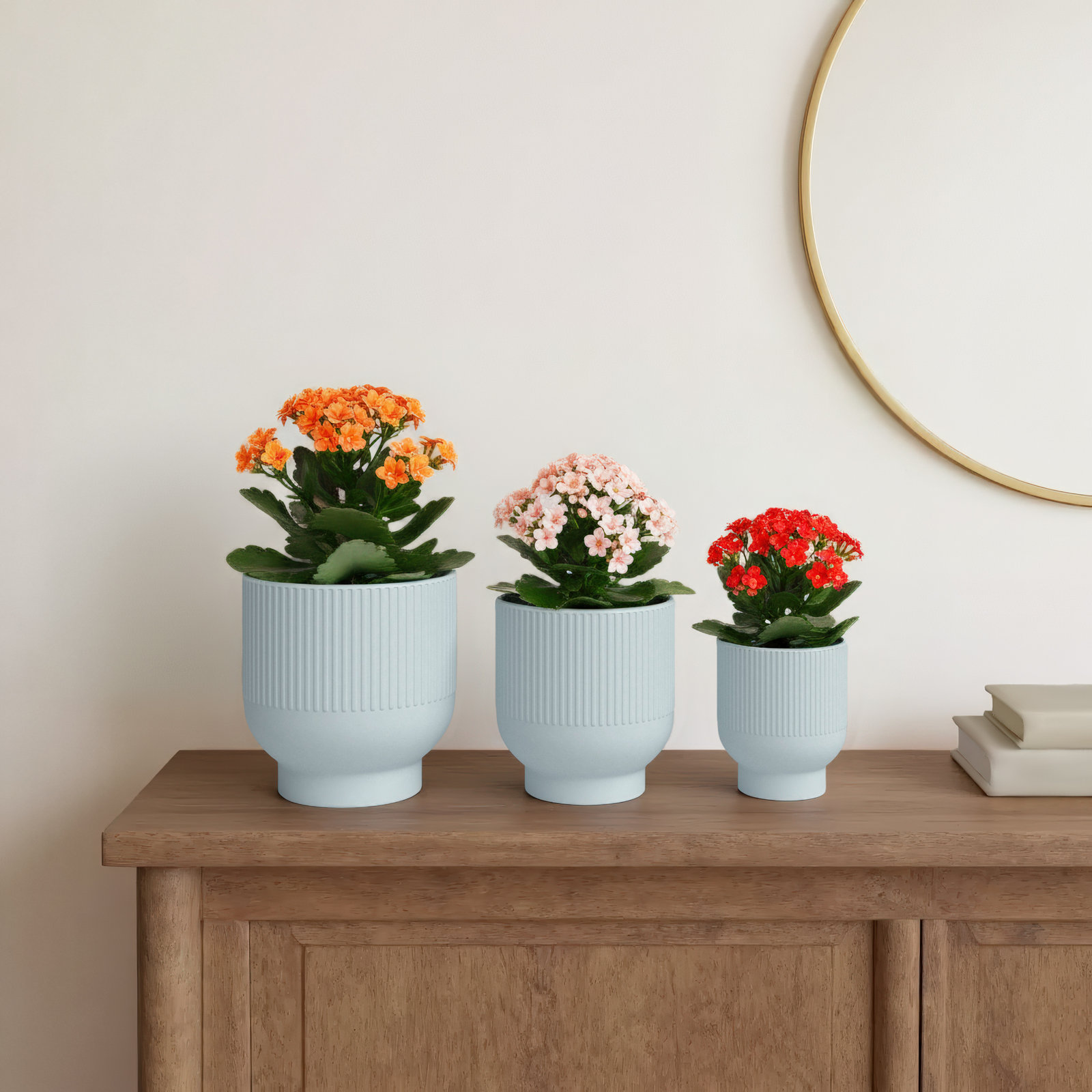 9" Ceramic Planter, Blue, 8.8" H x 8.6" W x 8.6" D