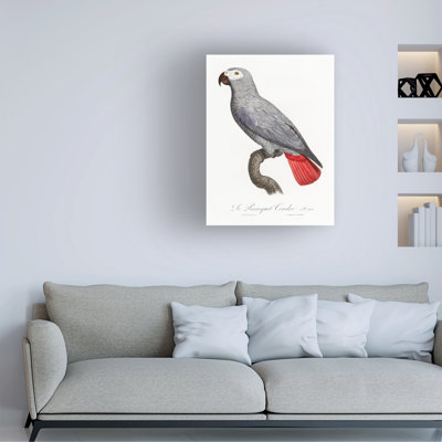 "Levaillant Parrot X" par François Levaillant, reproduction sur toile