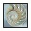 «Nautilus in Blue II», impression sur toile-20927635-73199588-73199589