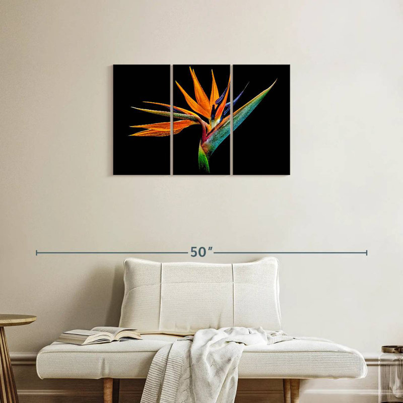 Harnek Strelitzia particulier, H 20 po x l 33 po