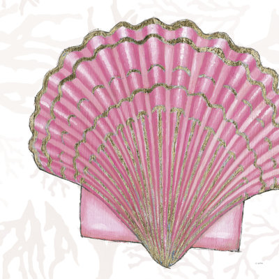 Coquilles chatoyantes V