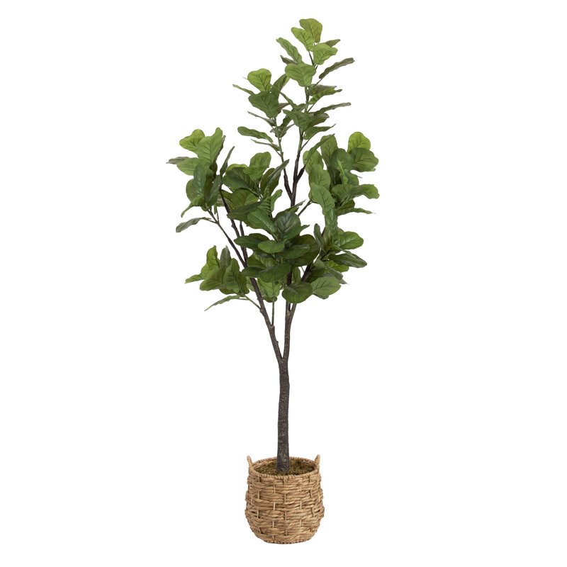 Figuier figuier avec panier Livia, H 70,87 po x l 27,56 po x P 23,62 po