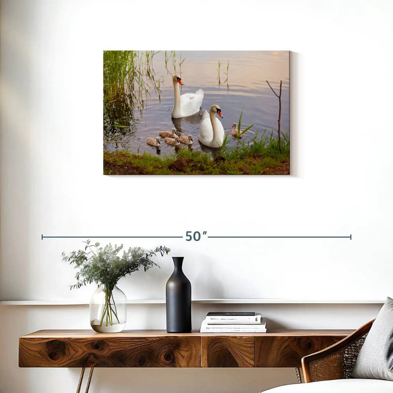 Brampt Swans And Cygnets