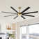 Osaze Ceiling Fan with LED Lights