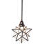 10" Wide Moravian Star Pendant