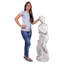 Statue en italique venus renouvelles venus