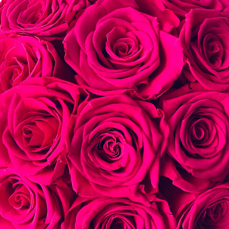 Arrangement de roses préservées dans un vase
