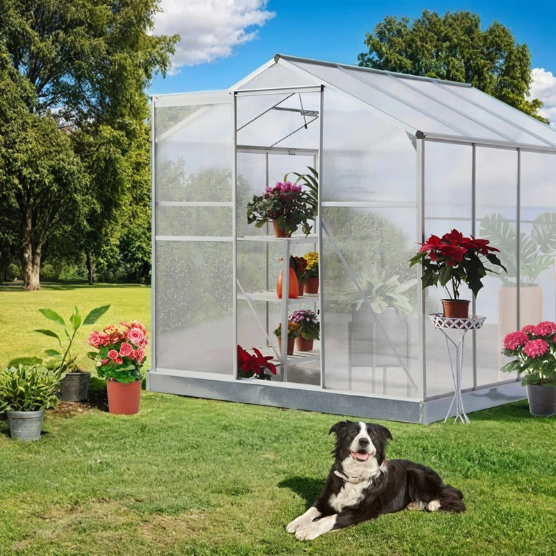 6' W x8' D Greenhouse, Silver