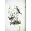 S / 4, reproduction encadrée 15,5 po x 23,5 po