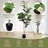 6ft Artificial Fiddle Leaf Fig Tree, Lifelike Faux Plant in Black Pot for Indoor Outdoor Decor-1391833057