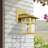 1 Light Small Outdoor Wall Lantern With Clear Glass-1709791588