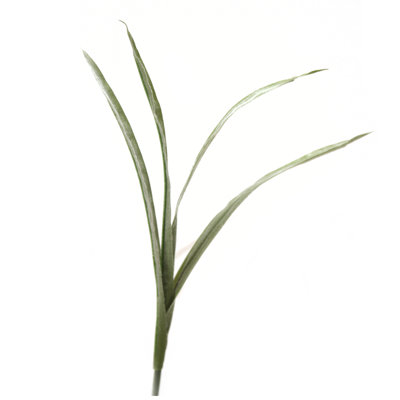 Arrangement
