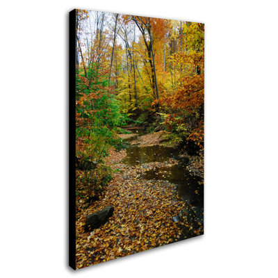 «Autumn Stream» par Cattima, reproduction de photo sur toile