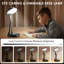 Isberga Adjustable Desk Lamp