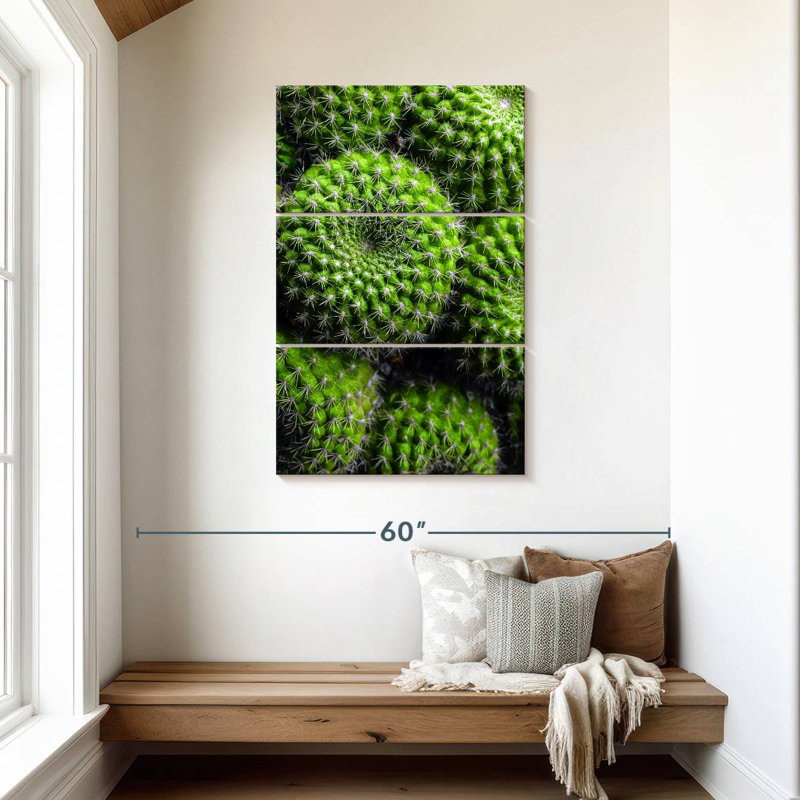 Harnek Spiny Barrel Cactus, 45" H x 28" W