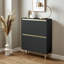 Iliana 2 Door Shoe Cabinet-443546050