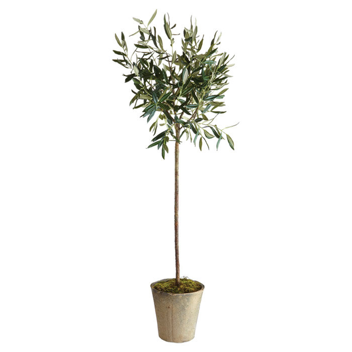 Conservatory Faux Olive Tree Tree in Ceramic Pot, 15" H x 4" W x 4" D