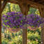 18.9 " Arrangement-1623279546