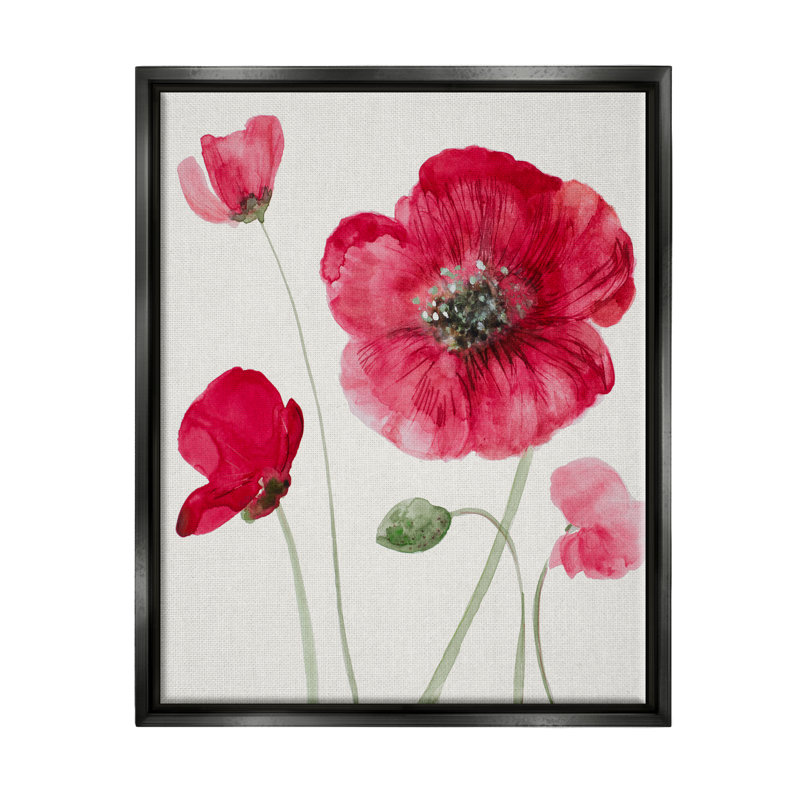 "Bold Red Poppies Blooming Floater", art mural par Lanie Loreth, Cadre flottant noir de jais, H 31 po x l 25 po x P 1,7 po