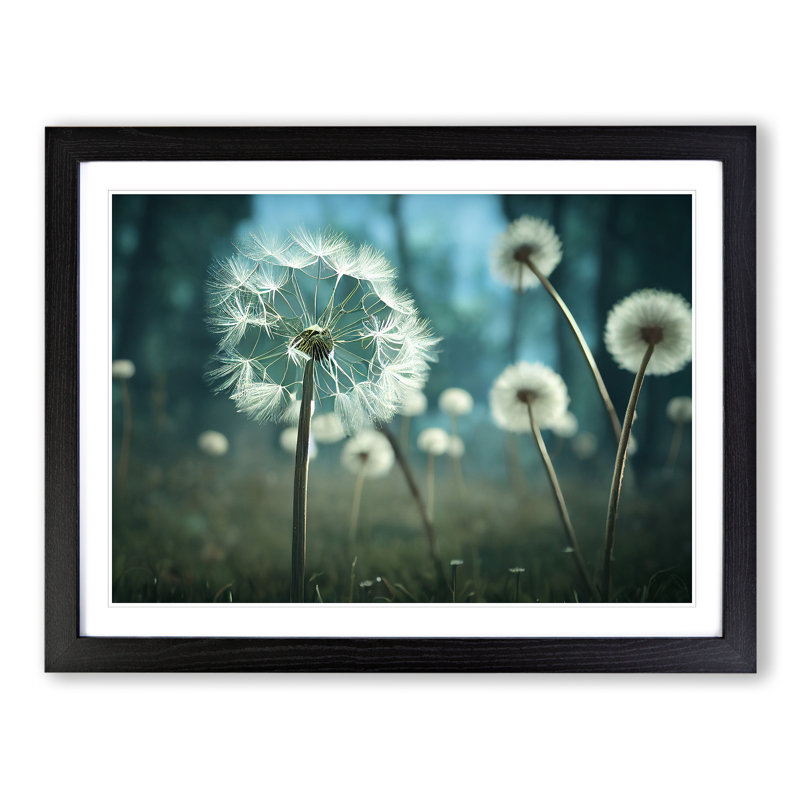 Alluring Dandelion Flowers - Single Picture Frame Print, Black, 46cm H x 64cm W x 2cm D