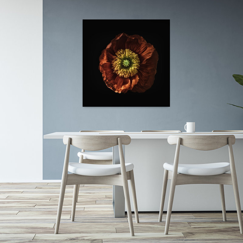«Red Poppy», art mural contemporain abstrait, H 32 po x l 32 po