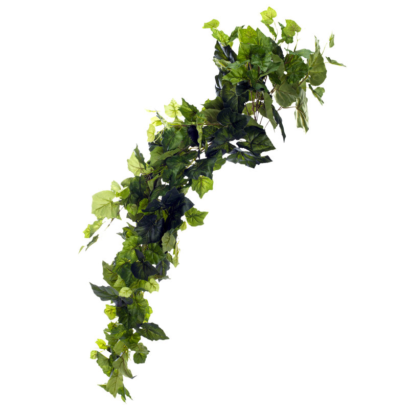 Ivy Arrangement
