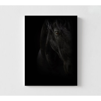 Black Pearl by PhotoINC Studio, Large Black Horse Photography Print, Black Horse Artwork New Home Decor, Big Black Horse Art