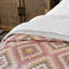 Reinhart Comforter-769098040