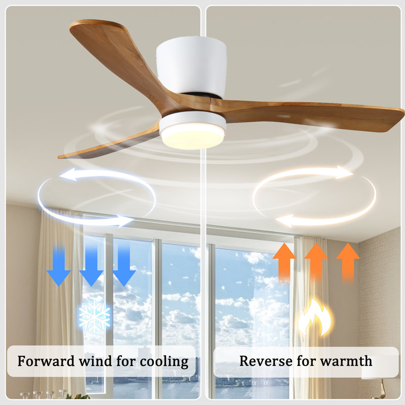 Ventilateur de plafond 52 po avec lumière, Blanc, Brun