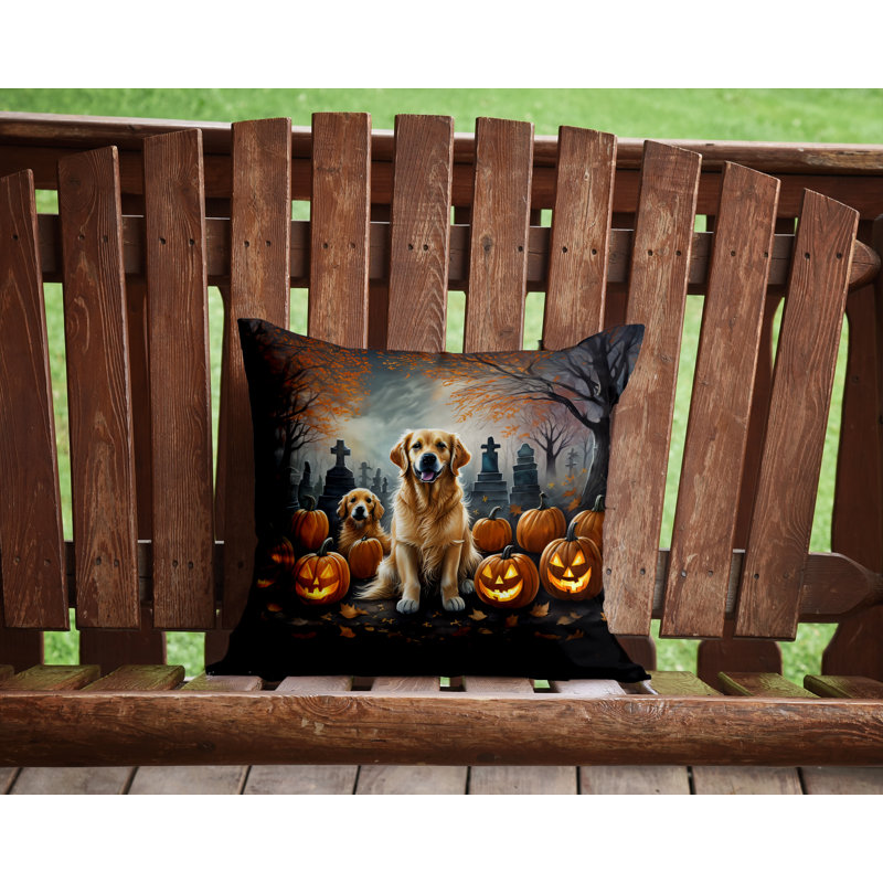  Housse et insert de coussin décoratif en polyester, 14 po x 14 po