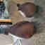 Customer photo 2 of 2