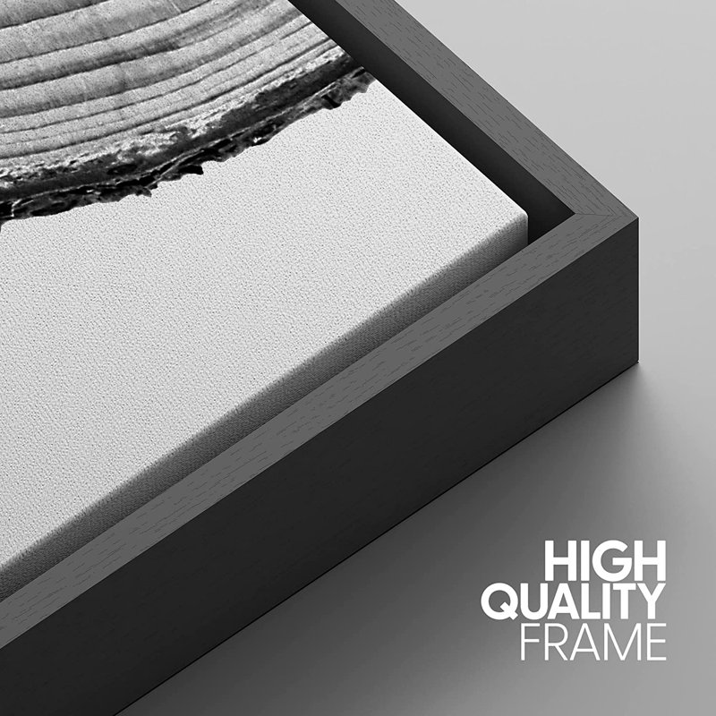 Black Framed Nature Tree Rings Canvas Print Set
