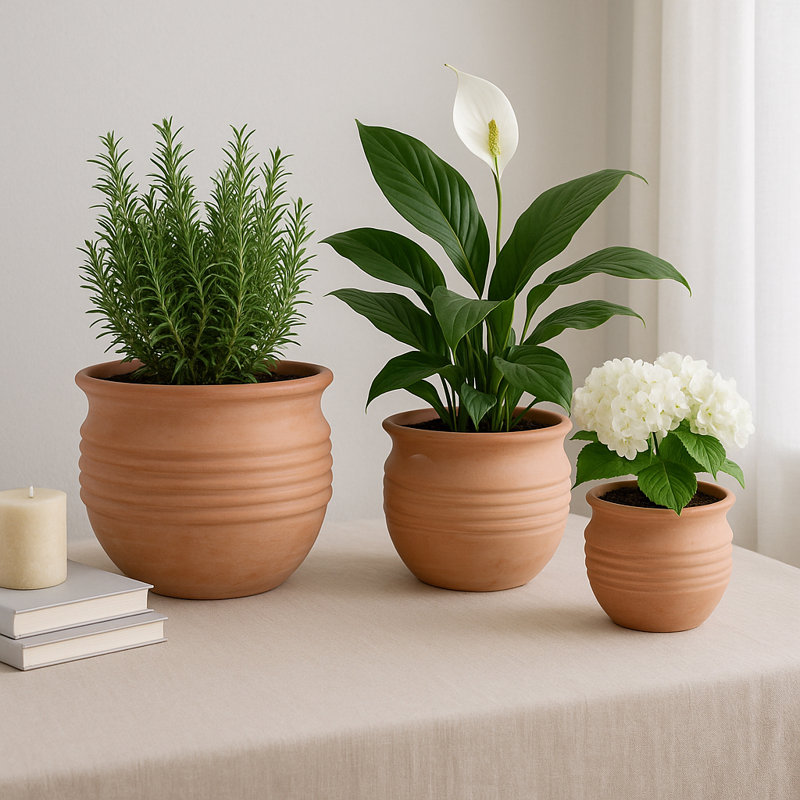 Hooge Set Of 3 Pottery And Clay Planters With Ribbed Design Crafted From Durable Earthenware Material For Decorative Functional Appeal In Versatile Rounded Silhouette Ideal For Indoor Or Outdoor Display