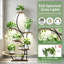 Plant Stand