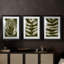 Organic Bloom IV - impression encadrée de qualité supérieure sur mesure mat - 3 pièces-171984690-171984688
