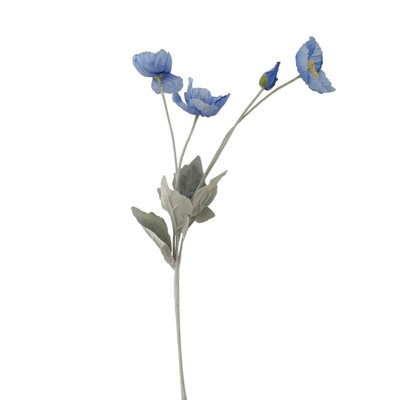 Ranunculus Arrangement
