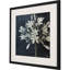 «Midnight Lilies I», impression murale encadrée noire