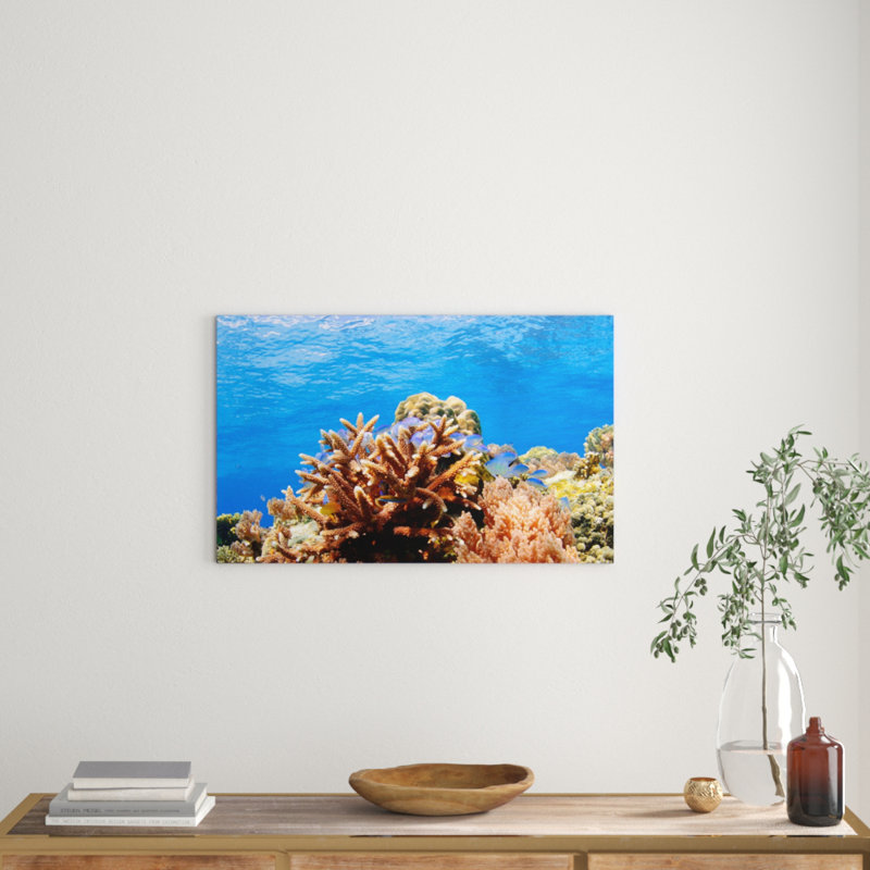 Stretched On Wooden Frame Print on Canvas, 80 cm H x 100 cm B x 2 cm T