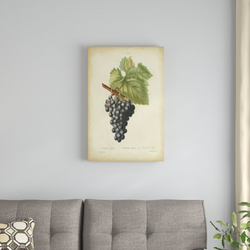 Antique Bessa Grapes I, peinture sur toile, H 30 po x l 20 po