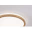 Atria LED Ceiling Light