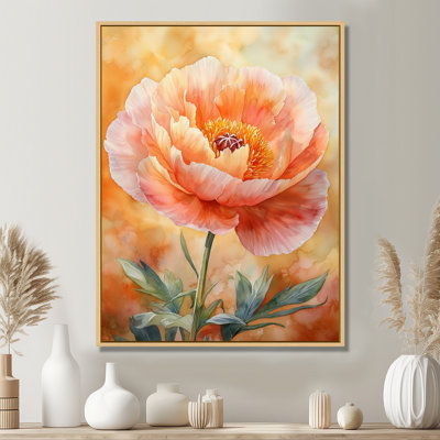 Art sur toile Golden Hour Peony I - Coquelicots
