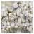 " Cotton Field " by Carol Robinson-136195933