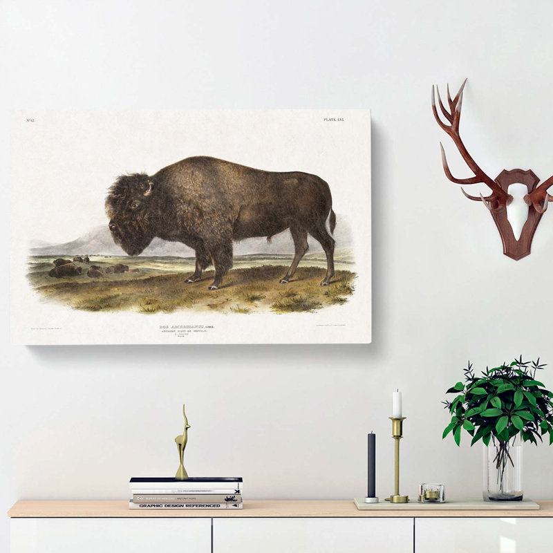 An American Bison - Wrapped Canvas, 35cm H x 50cm W x 3cm D