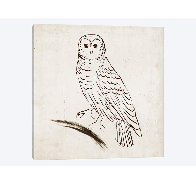 «Owl I», reproduction sur toile, H 12 po x l 12 po x P 0,75 po, Toile tendue, Pas de tapis