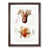 Walnut Framed