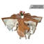 Table basse abstraite en bois massif-859876083