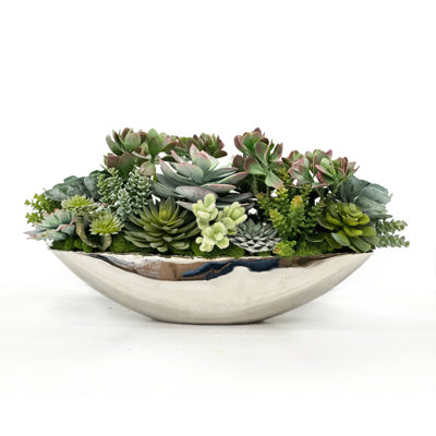 Succulents In Vessel Container